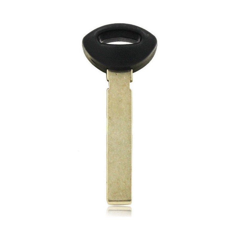 Llave virgen para mando a distancia inteligente de Mini Cooper