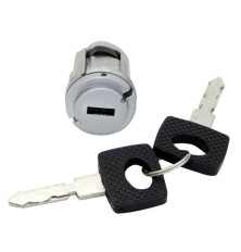 Cilindro de cerradura del...