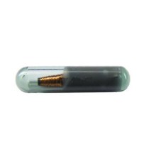 ID48 CAN AUDI-transponder (MG10 A4 TP25 EL30)
