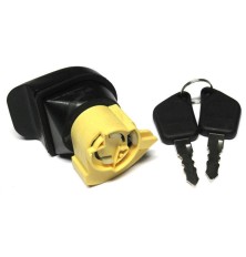 Trunk lock cylinder button...