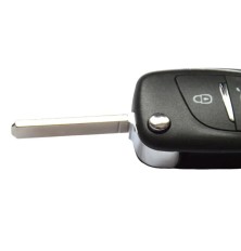 Remote control with DS4...