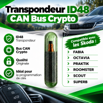 Transponder chip anti-theft ID48 CAN Skoda Fabia Octavia Superb A3 TP24