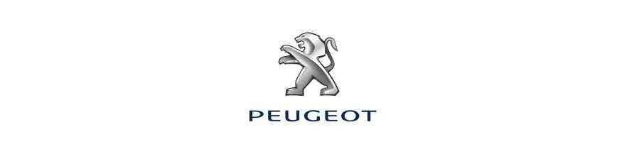 télécommandes, émetteur, neuve, vierge, d'occasion, recyclée Peugeot