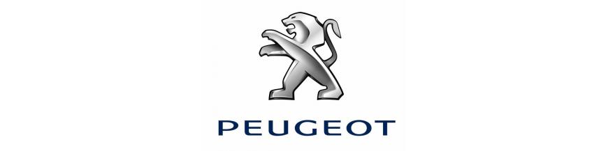 systeme de fermeture bouton contacteur module centralisation Peugeot