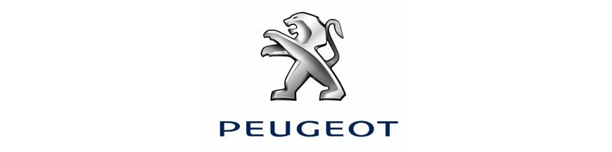 poignée de porte Peugeot 
