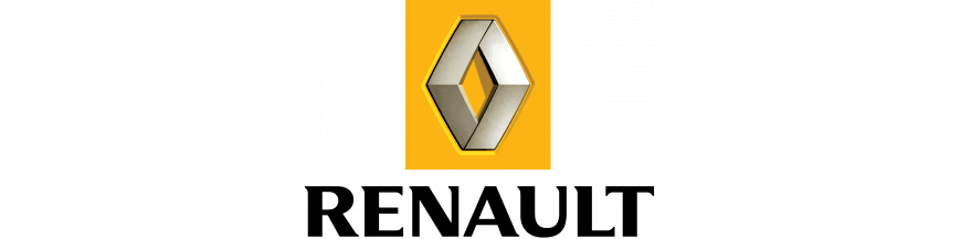 Poignée de porte Renault