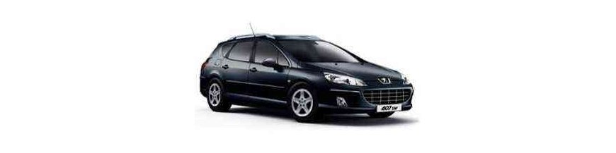 Sleuteletui afstandsbediening plip Peugeot 407 SW