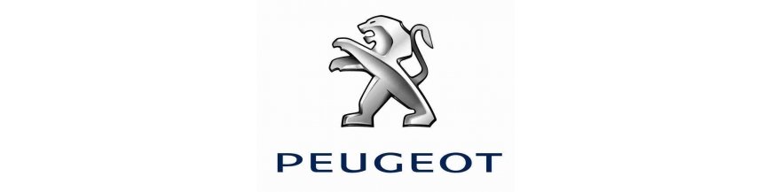 Étui, housse de protection pour télécommande clé Peugeot