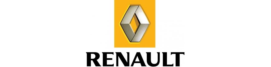 Étui, housse de protection pour télécommande coque de clé plip Renault