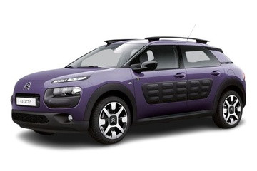 C4 CACTUS